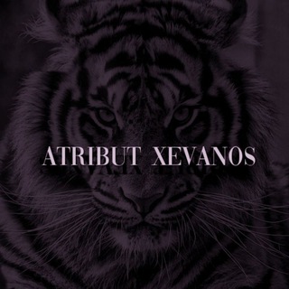 ATB XVN