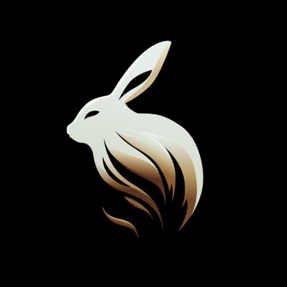 Moontok 月兔官方中文群 ✔