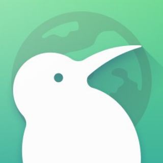 Kiwi Browser Builds