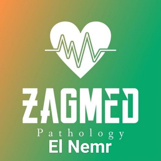 El Nemr ZagMed Pathology