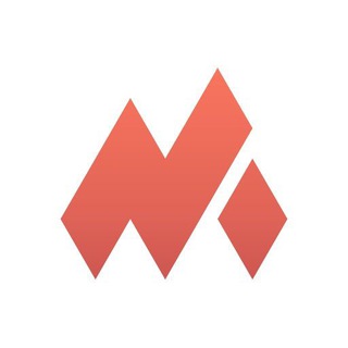 NetMod VPN