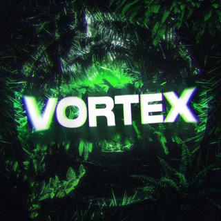 🍃 VoiceVortex 🍃