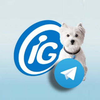 Portal iG ✔