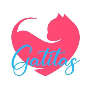 Gatitas 18