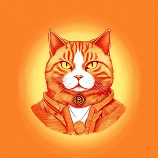 CRYPTO CAT | Molchanov Andrey