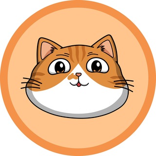 O'Malley The Cat Portal