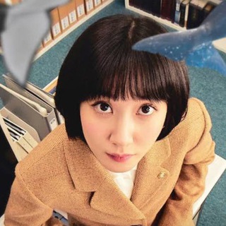Extraordinary Attorney Woo In Hindi