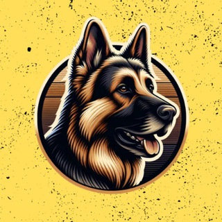 Cairo Official Community