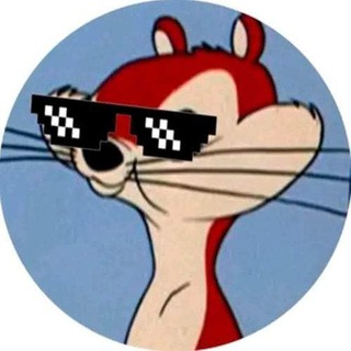 Ardilla Viral 🐿️