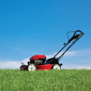 Grasscutter CN