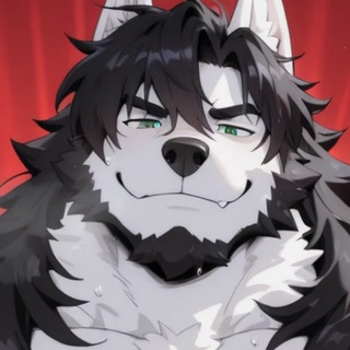 Raygar Wolf Channel