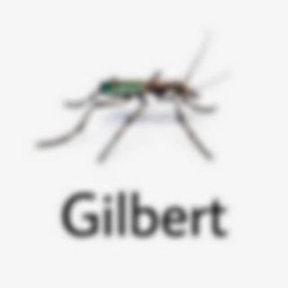 Gilbert