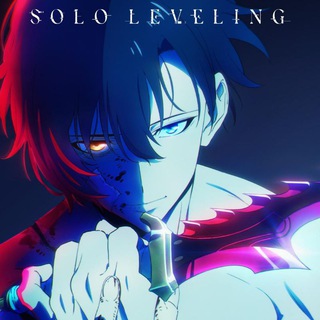 Solo Leveling in Hindi