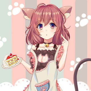 Kitty 「我的朋友圈」