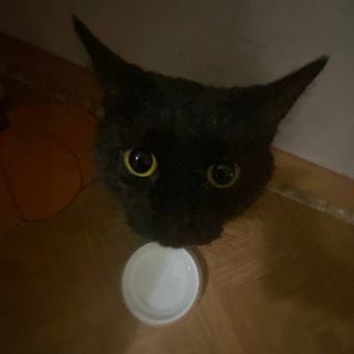 пластиковые воспоминания