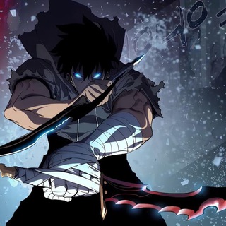Solo Leveling LINKS