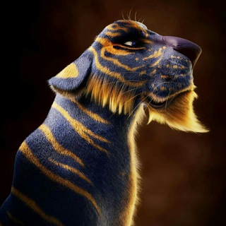 3D Animation