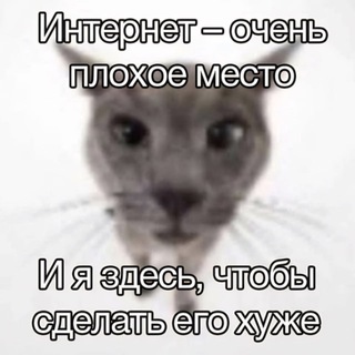 полезный канал (сонглесс)