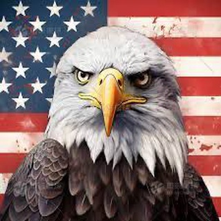 America 🇺🇸 News & Politics
