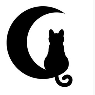 【猫七七】公告板