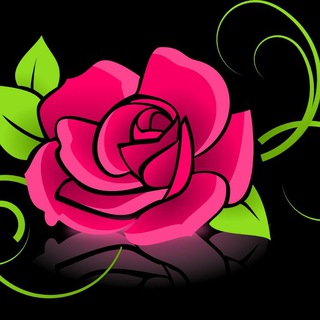 قروبات واتساب بنات
