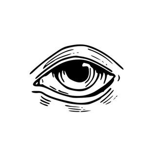 The Observers