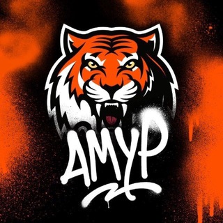 Территория Тигров | ХК «Амур» ✔