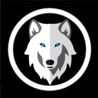 SHIWA OFFICIAL GLOBAL