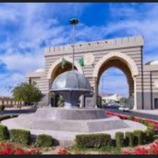 صندوق المنح بالجامعة الإسلامية