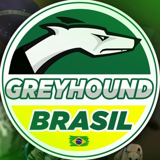 ɢʀᴇʏʜᴏᴜɴᴅ ʙʀᴀsɪʟ 🇧🇷