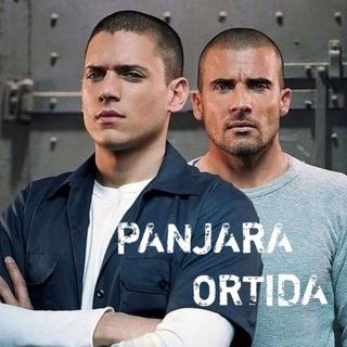 Panjara Ortida 6 Mavsum