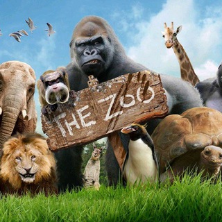 Zoophilia