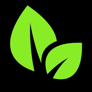Leaf Classes