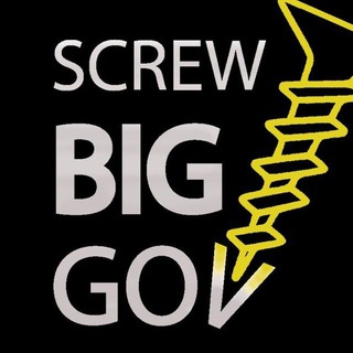 ScrewBigGov.com - Lewis Herms (Next Governor of California)