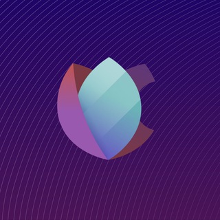 Torrent Downloader ☁️ (Seedr.cc)
