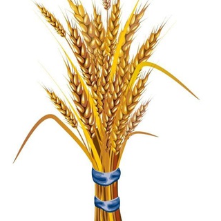 Prosperity Party - ብልፅግና