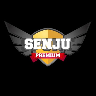𝙎𝙀𝙉𝙅𝙐 𝙋𝙍𝙀𝙈𝙄𝙐𝙈 | World No.1 Gaming Tools