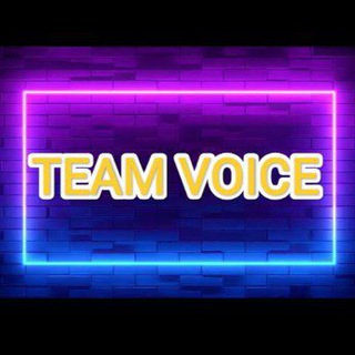 BATCHES | TEAM' VOICE