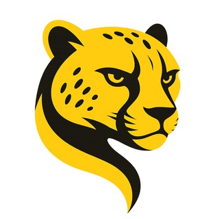 Cheetah Tool Team