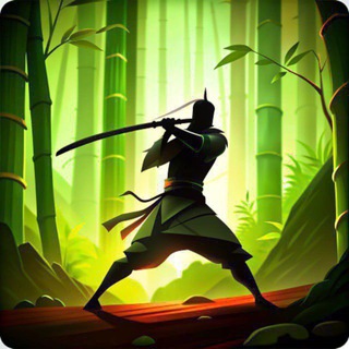 Shadow Fight 2 Private Server