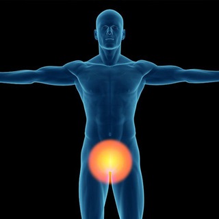 Kegel Exercises