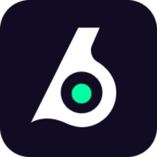 Birdeye API (Support)