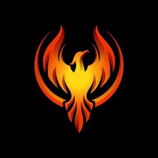 iPro Auth Tool (Official Channel)