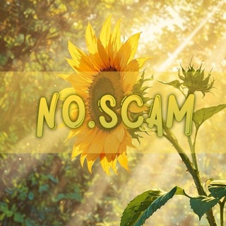 NO.SCAM | HGR
