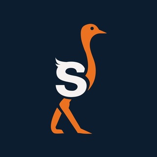Straus VPN