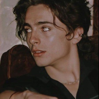 Timothée Chalamet