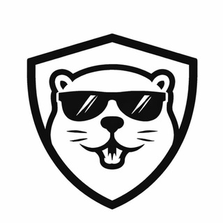 Бобр VPN