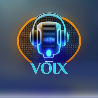 Voix 🎙 Распознавание | расшифровка голосовых | аудио | видео