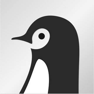 Новости – Pingle VPN