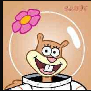 Sandy cheeks